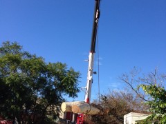 Tree_Removal (6)-min